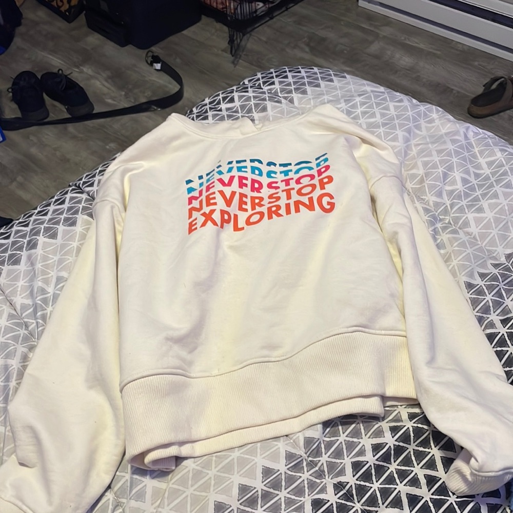 the north face sweatshirt
